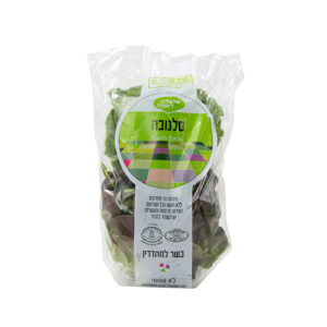 סלנובה